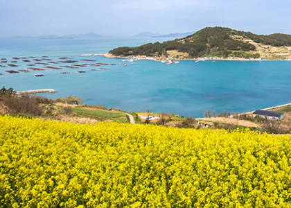 슬로시티 청산도