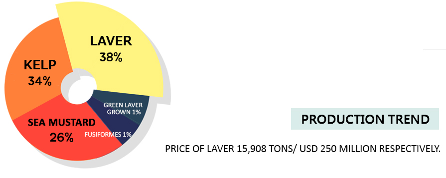 Production Trendprice of laver 15,908 tons/ USD 250 million respectively. 